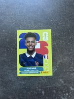 Panini Sticker D. Doué FRA 17