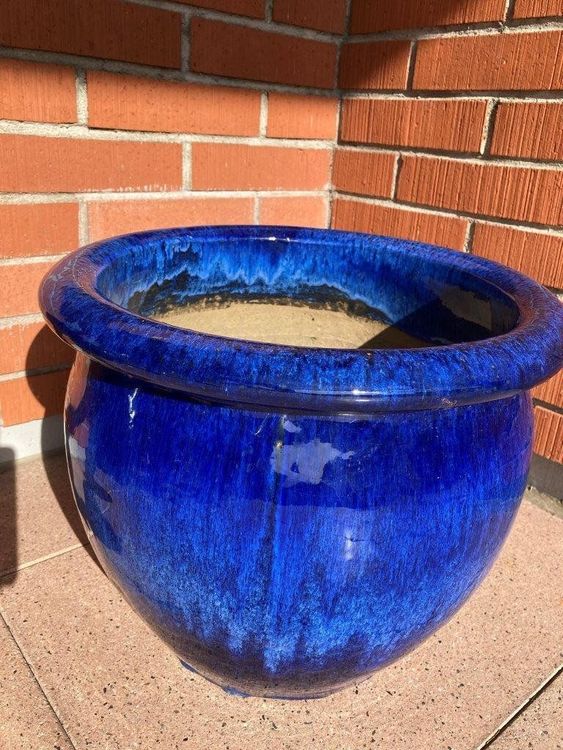 Grosser blauer pflanzkübel winterhart, nur wenig gebraucht Kaufen auf
