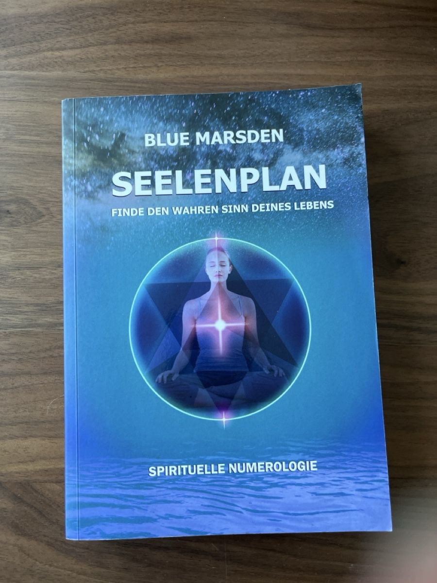 Libri: Blue Marsden: Seelenplan – Usato da Kloten venduto da Mianan88