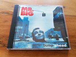 Mr. Big