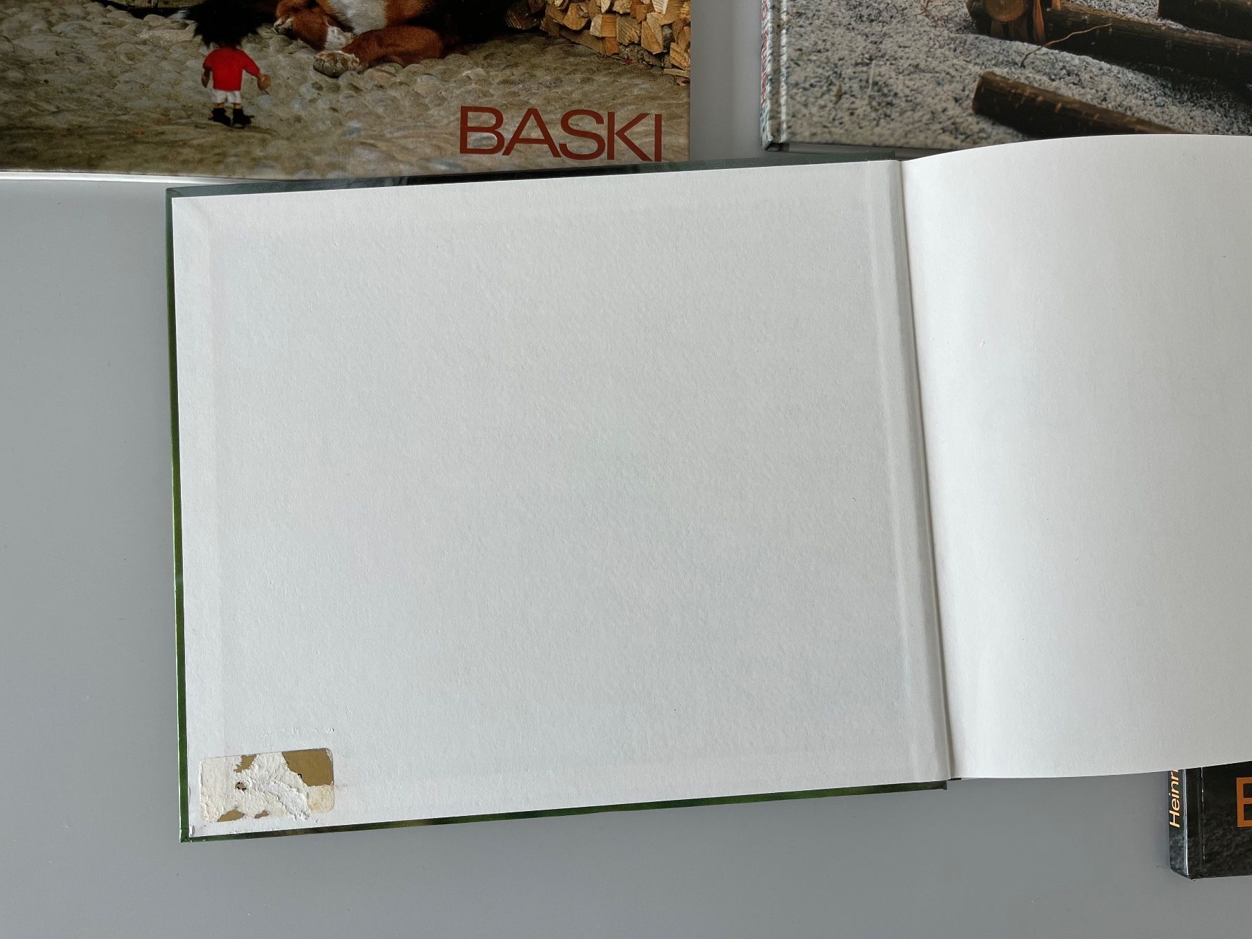 Libri: 5 Stück BASKI Kinderbücher – Usato da Zollikofen venduto da spunk65 6