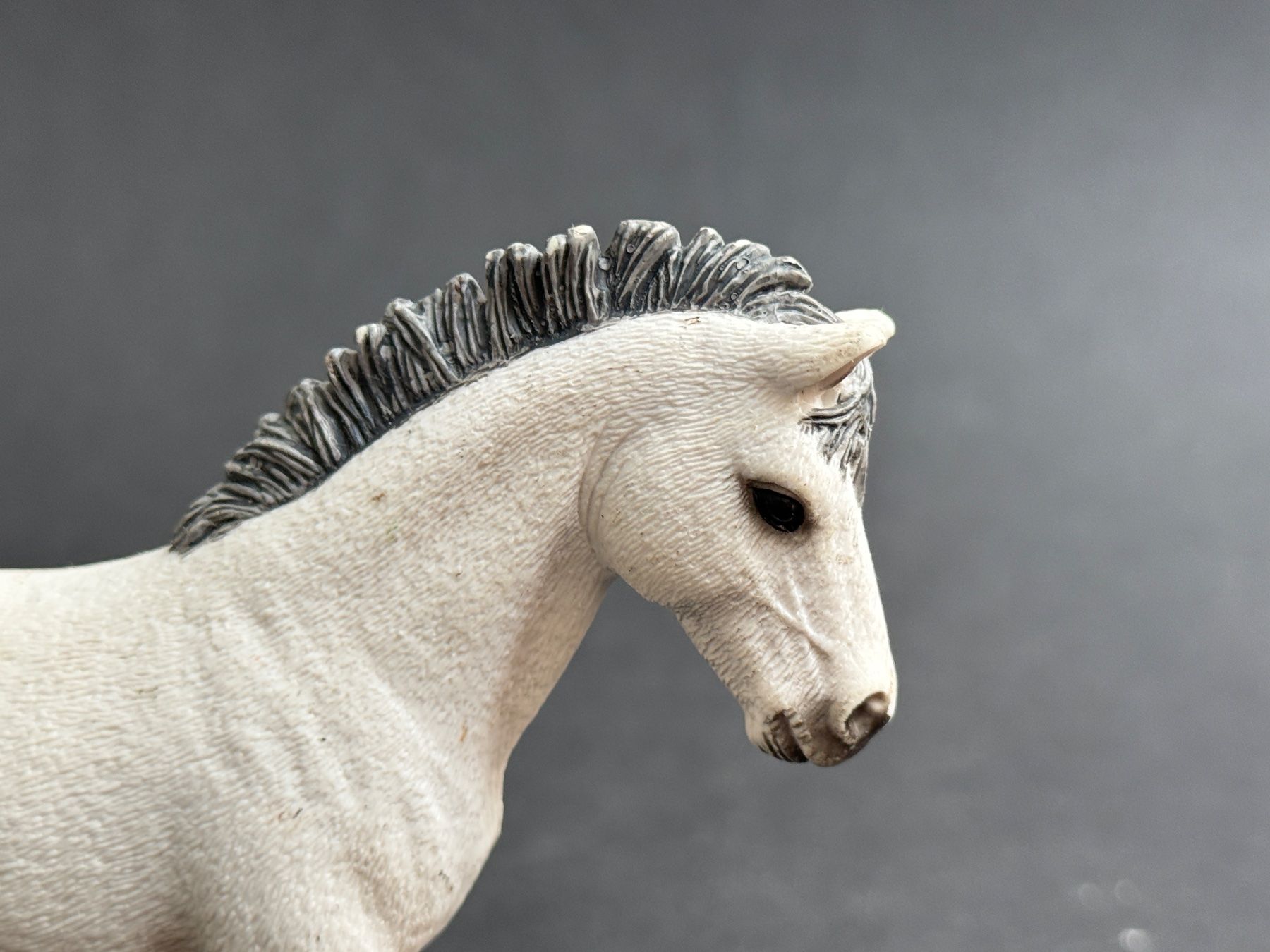 Schleich Figuren: Schleich 13710 Camargue Hengst – Gebraucht aus Ennetbaden von mapa05 2