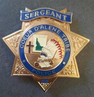 Badge métal police US