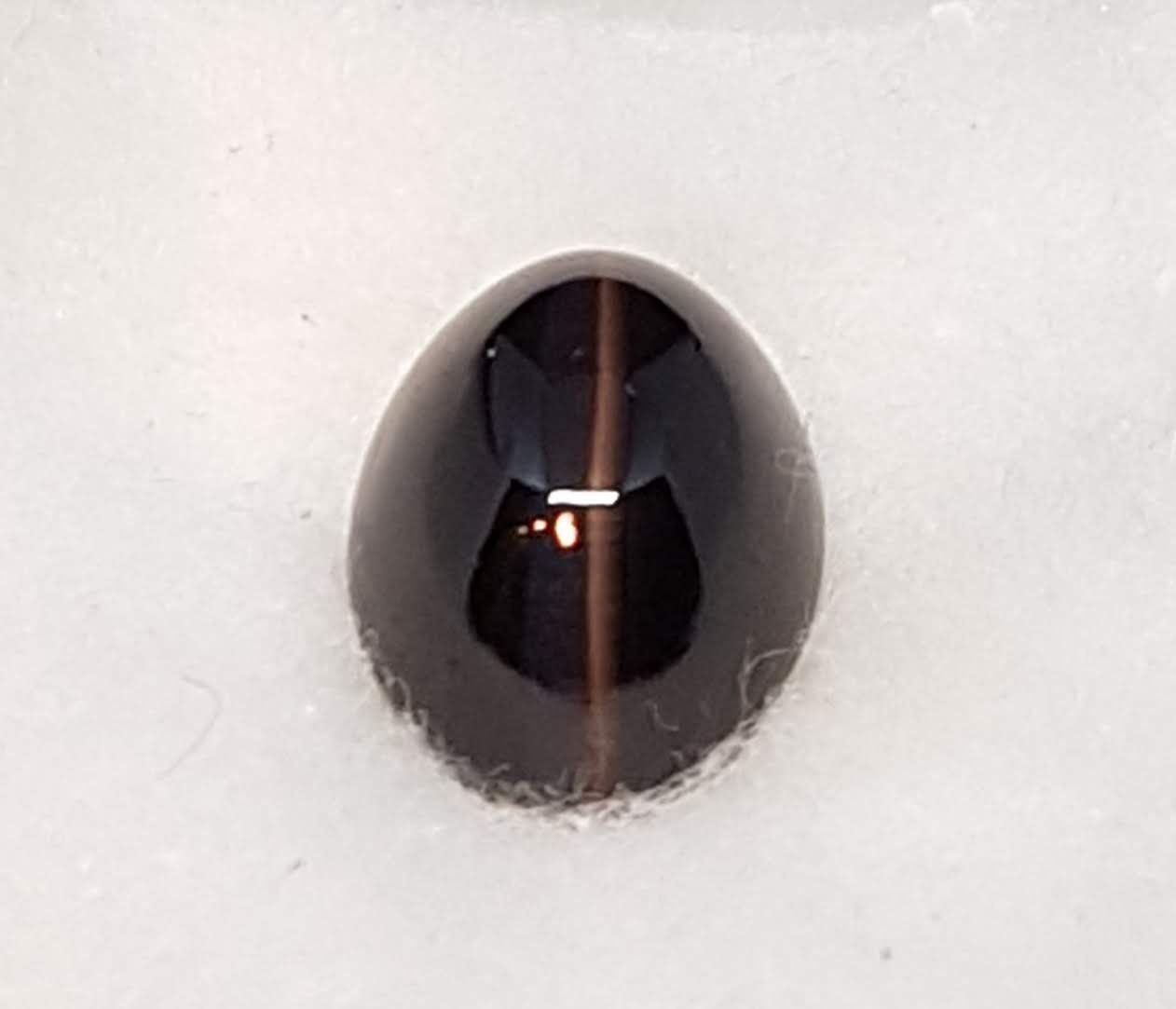 Pietre preziose: Silliminite Katzenauge Gross 18.12ct – Usato da zuerich venduto da Jewlsdesign