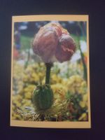 1 Karte / Motiv: Mohn (handgemacht / Unikat)