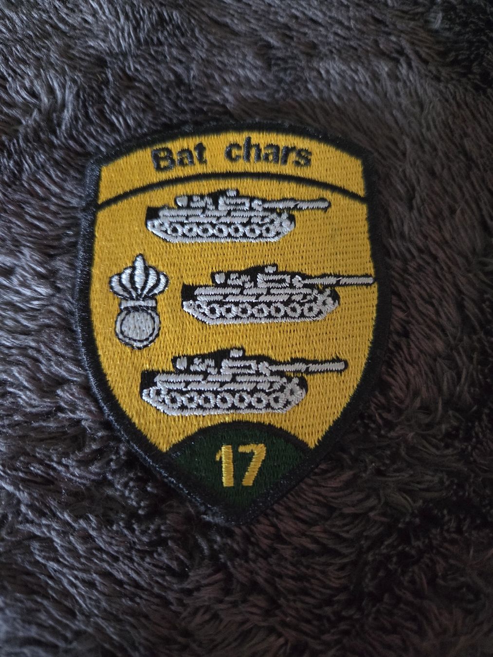 Schweizer Armee Uniformi: Patch, Bataillon de chars 17, Rare, Collector, Armée Suisse – Nuovo (secondo la descrizione) da Onex venduto da GarageCollector