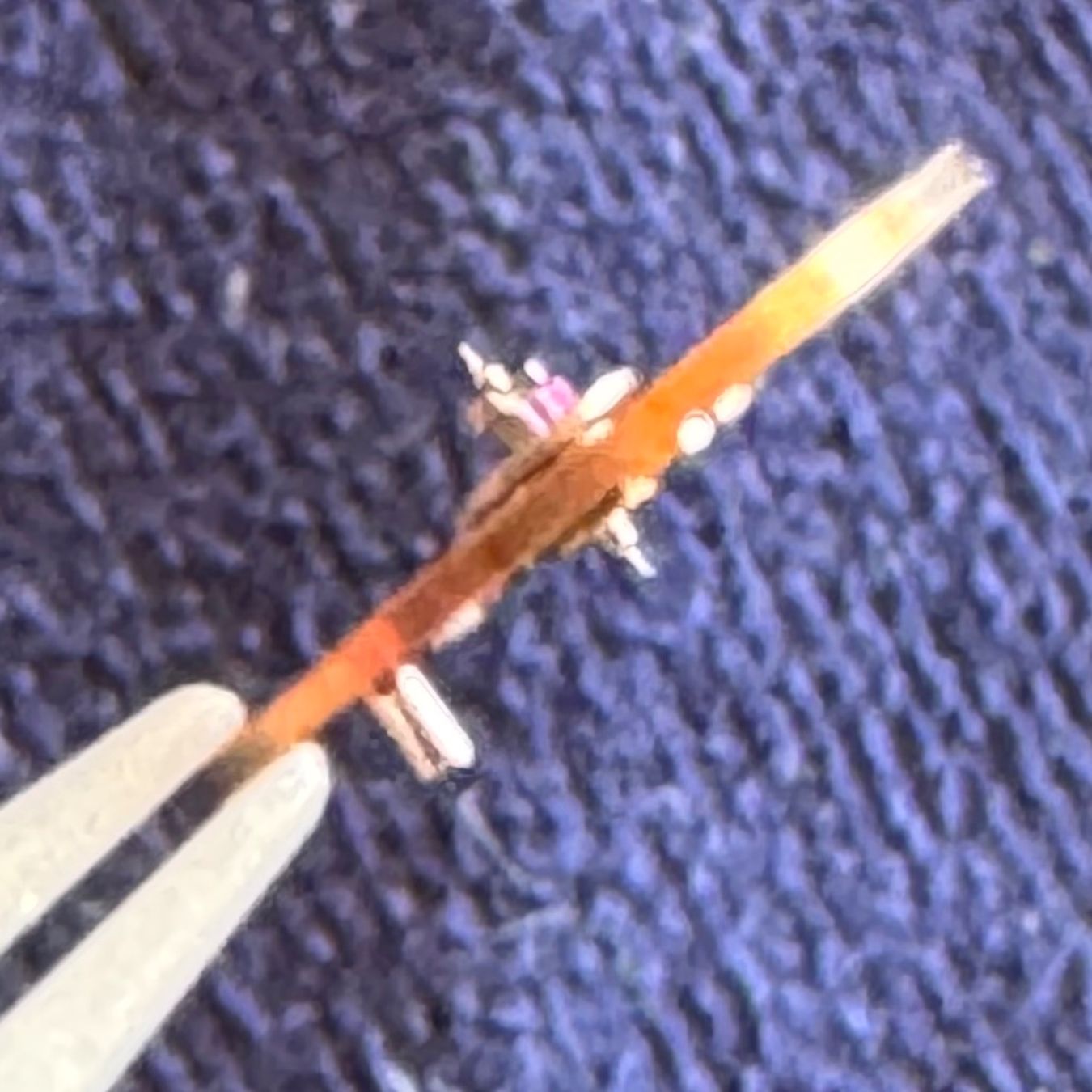 Omega Montres: Omega Cal. 625 Balance Untested – Neuf (Voir description) à Arzier-Le Muids par Avanna 2