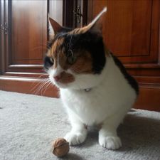 Profile image of SamLook