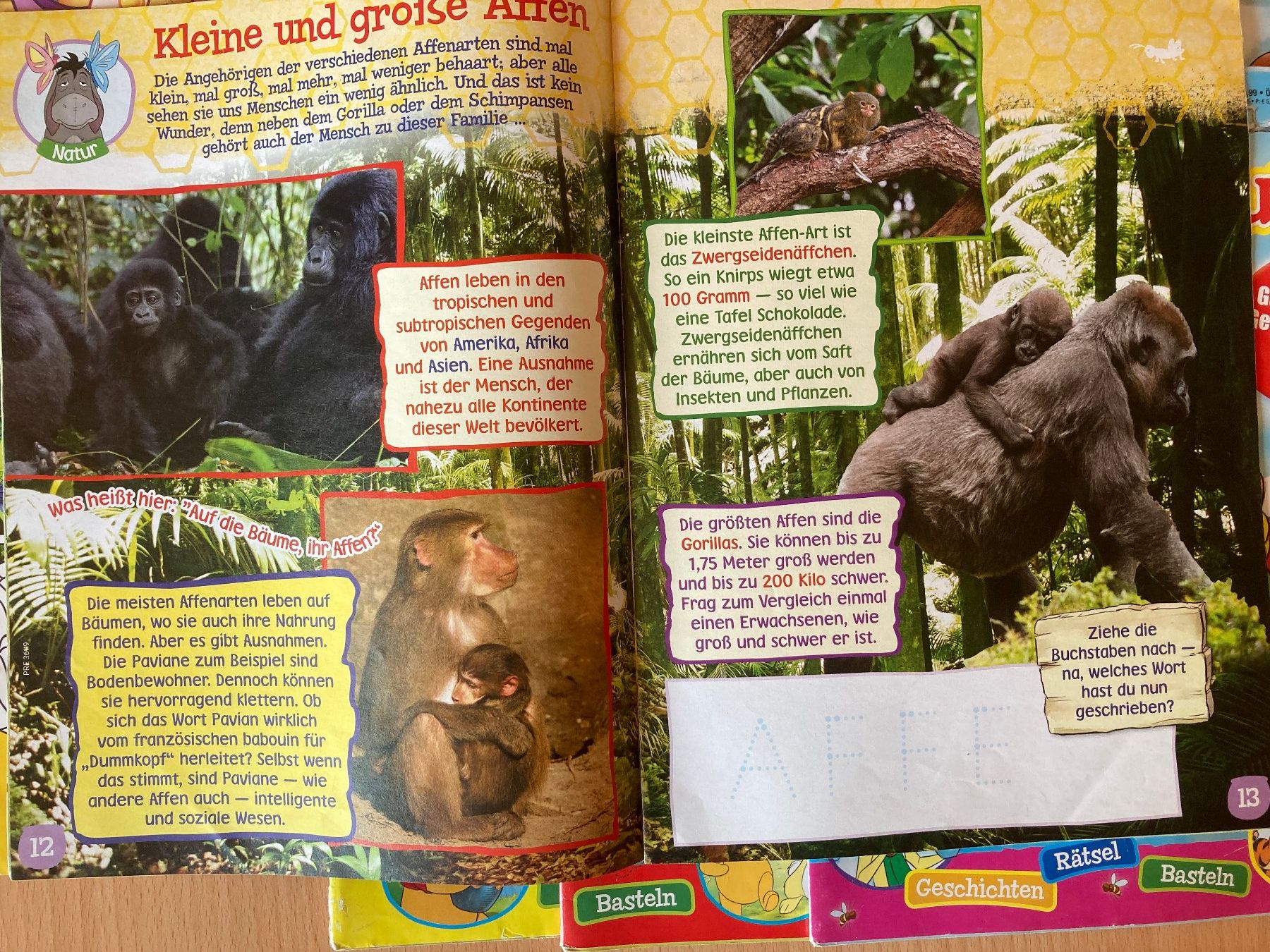 Riviste & Magazine: 8 Hefte Winnie Puuh – Usato da Lütisburg venduto da wiesenpippau 1