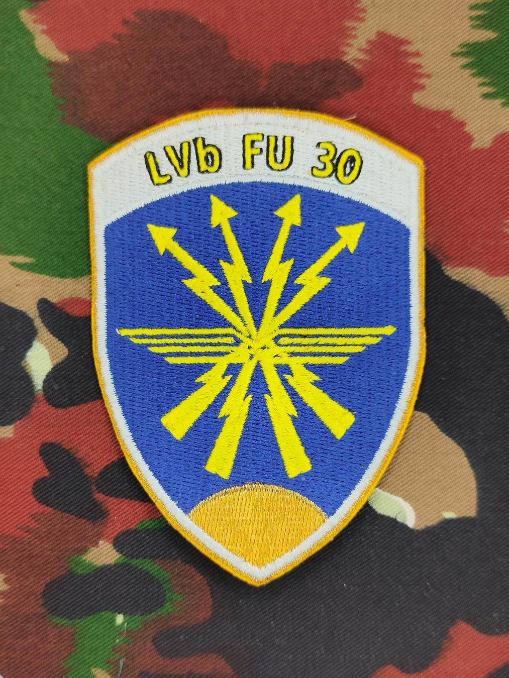 Schweizer Armee Uniformi: Verbandsabzeichen Lehrverband FU 30 – Usato da Bauma venduto da SwissMilitaria