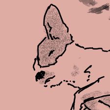 Profile image of kit-kit
