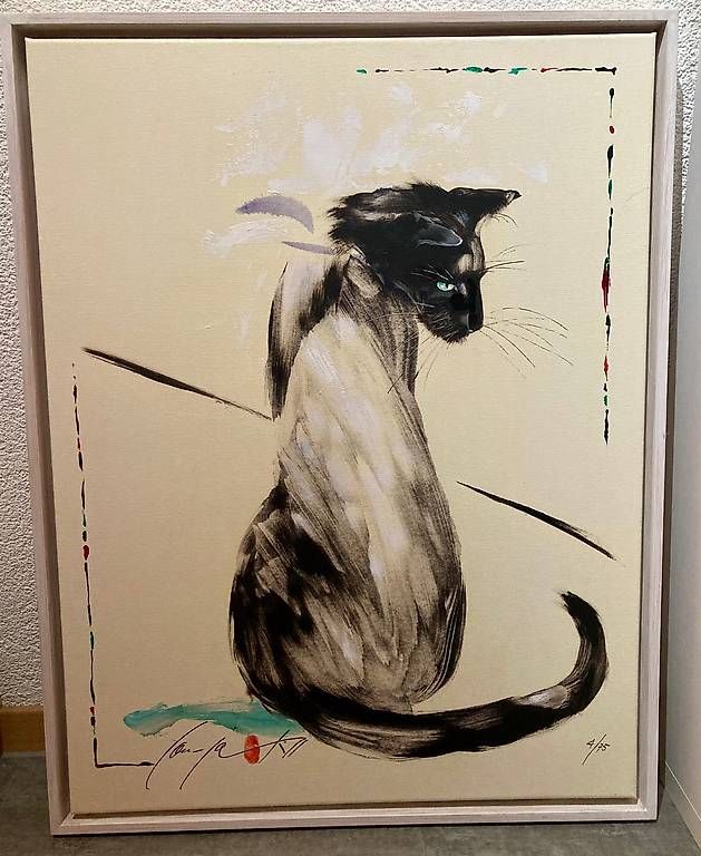 Foto & Immagini: Katzenbild le regard – Usato da Kreuzlingen venduto da wes_8f5n
