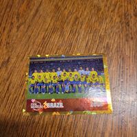 Panini 26 FWC 16
