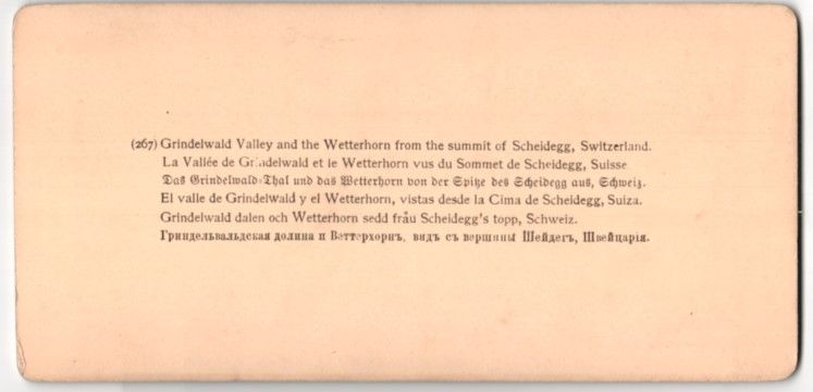 Fotografie & Manifesti: Stereo-Fotografie Scheidegg, Blick in da – Usato da Berlin venduto da bartko-reher 1