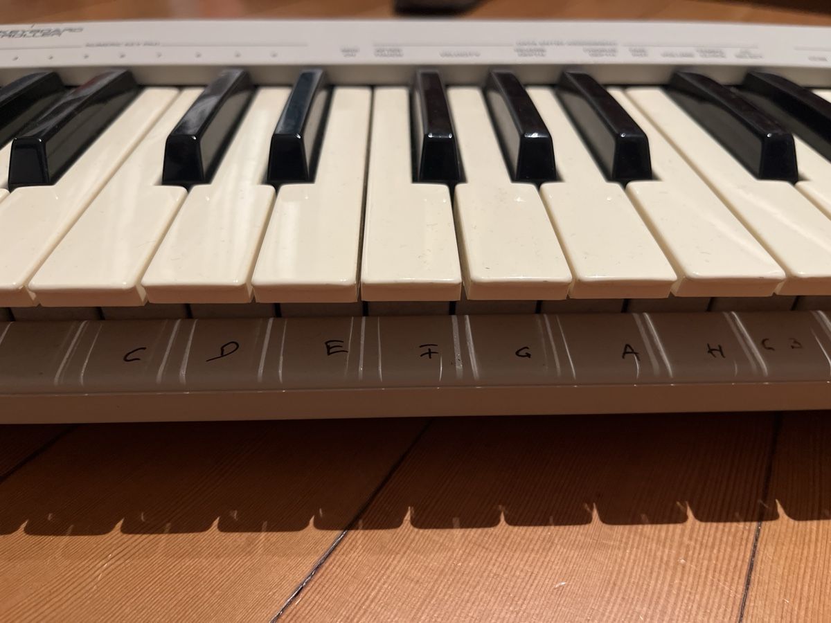 Roland Strumenti musicali: E-Piano Roland PC-160 – Usato da Kriens venduto da linbin99 2