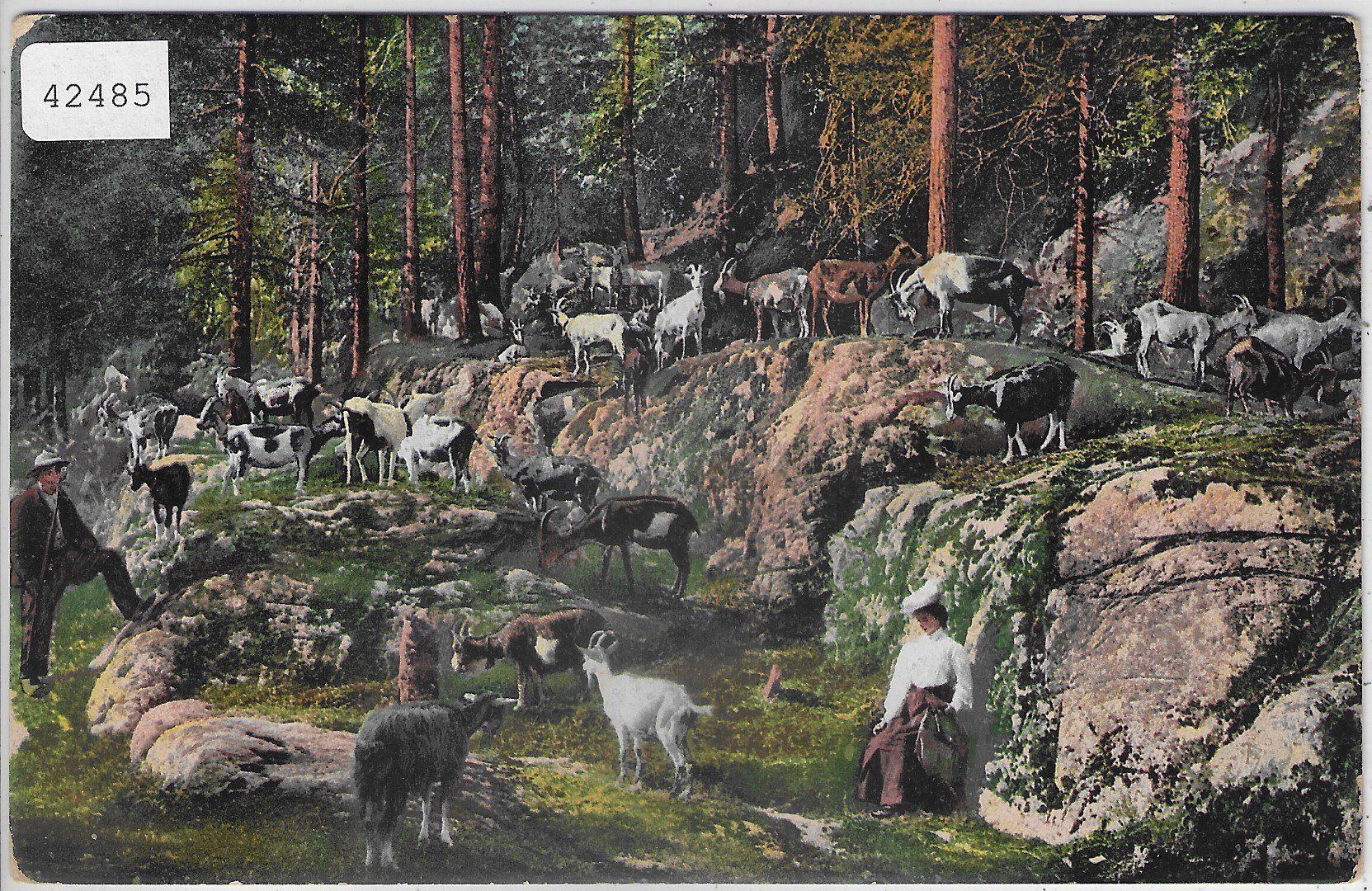 Cartes postales: Frau mit Ziegenherde - Litho – D'occasion à Ettingen par Kartenplanet