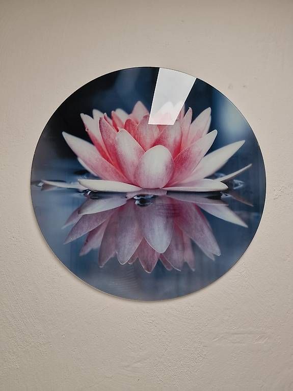 Posters & Illustrations: Lotusblume Glasbild – D'occasion à Inkwil par cor_l8zv
