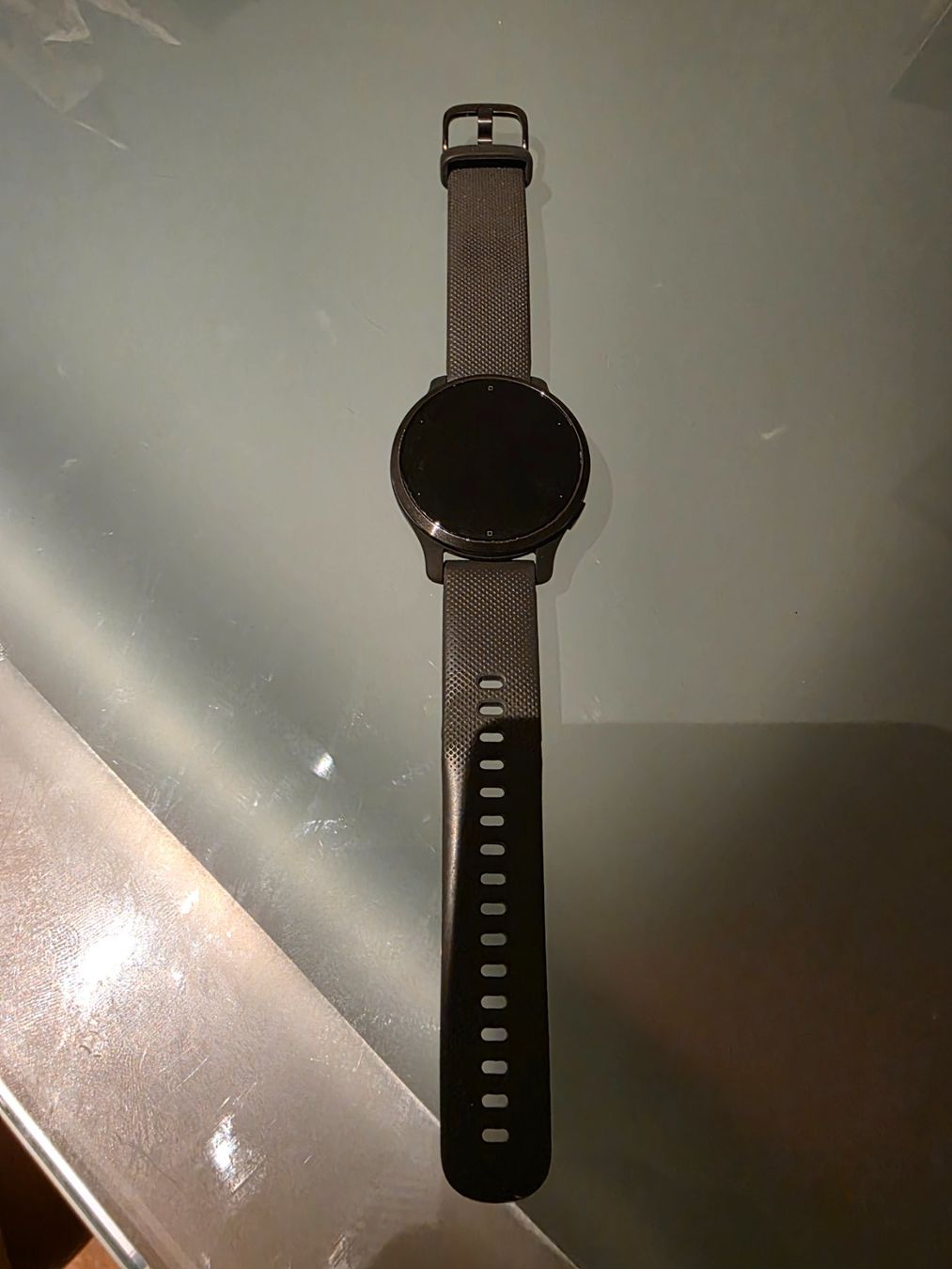 Garmin Smartwatch: Garmin Venu 2 – Usato da Spiez venduto da Bluedan 2