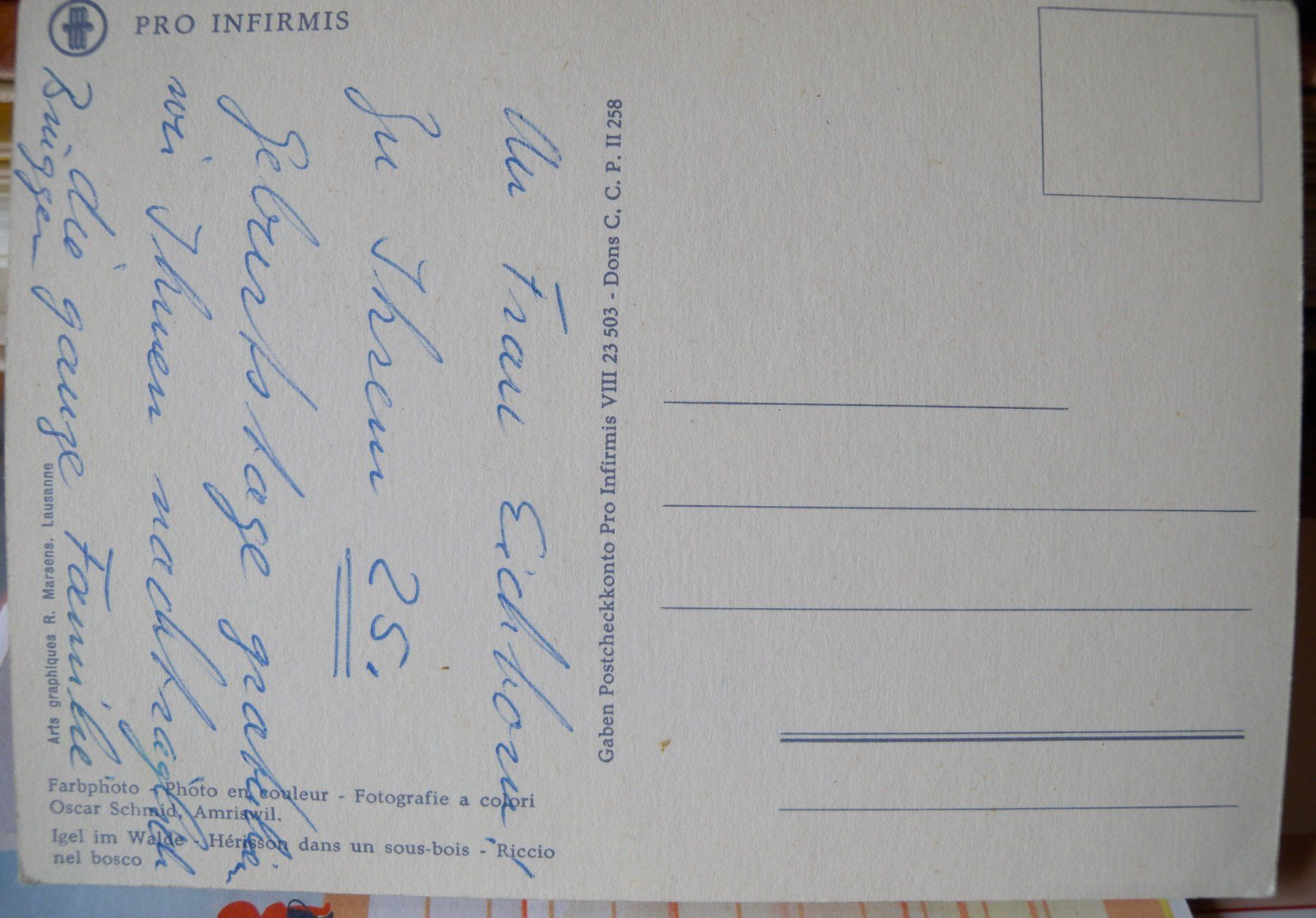 Cartoline postali: Ansichtskarte Igel im Wald – Usato da Hauenstein venduto da davia72 1