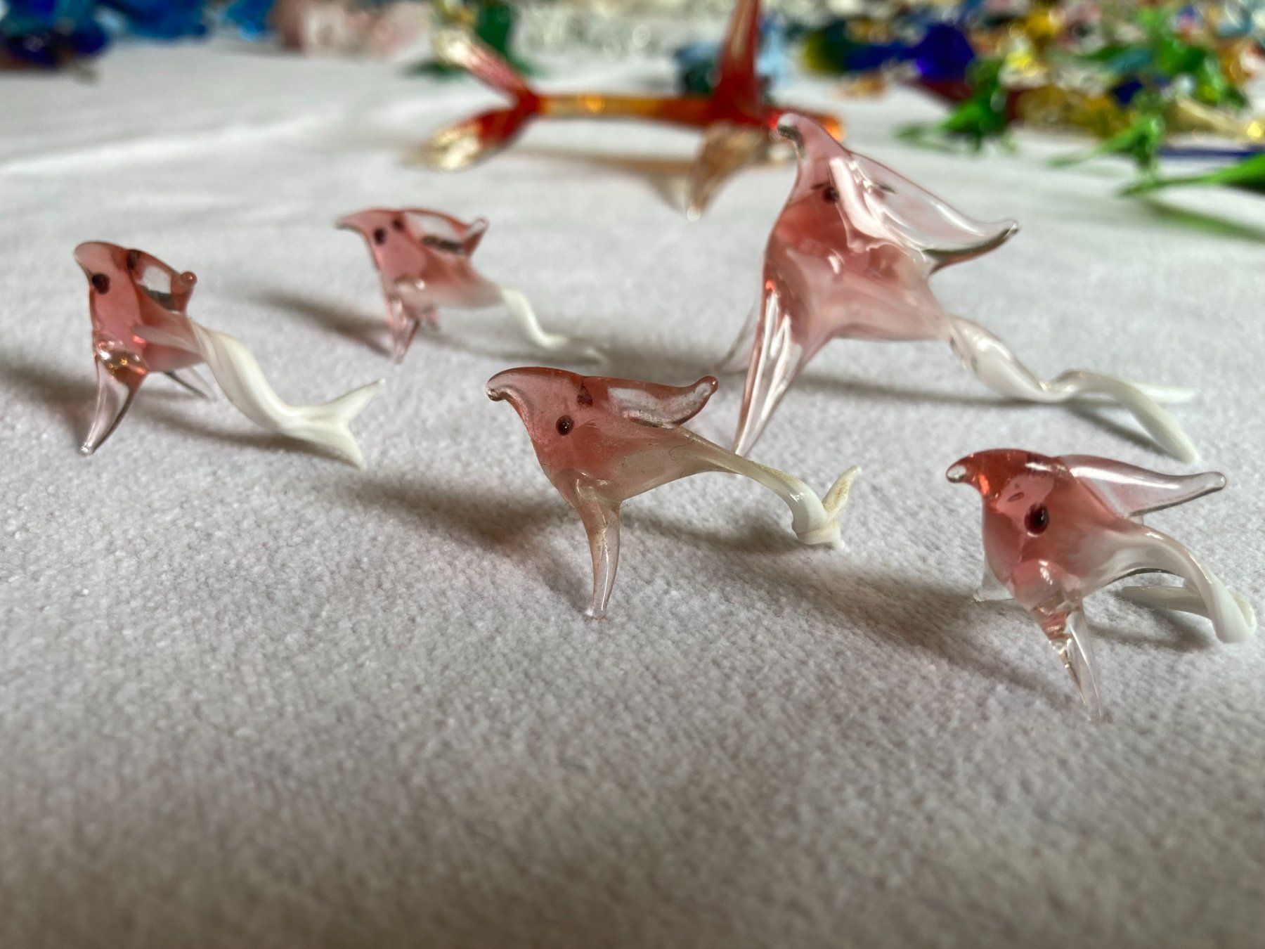 Murano Statuette: Mini Glas Fische Murano 15 Teile – Usato da Rickenbach Sulz venduto da bea_7ssd 4
