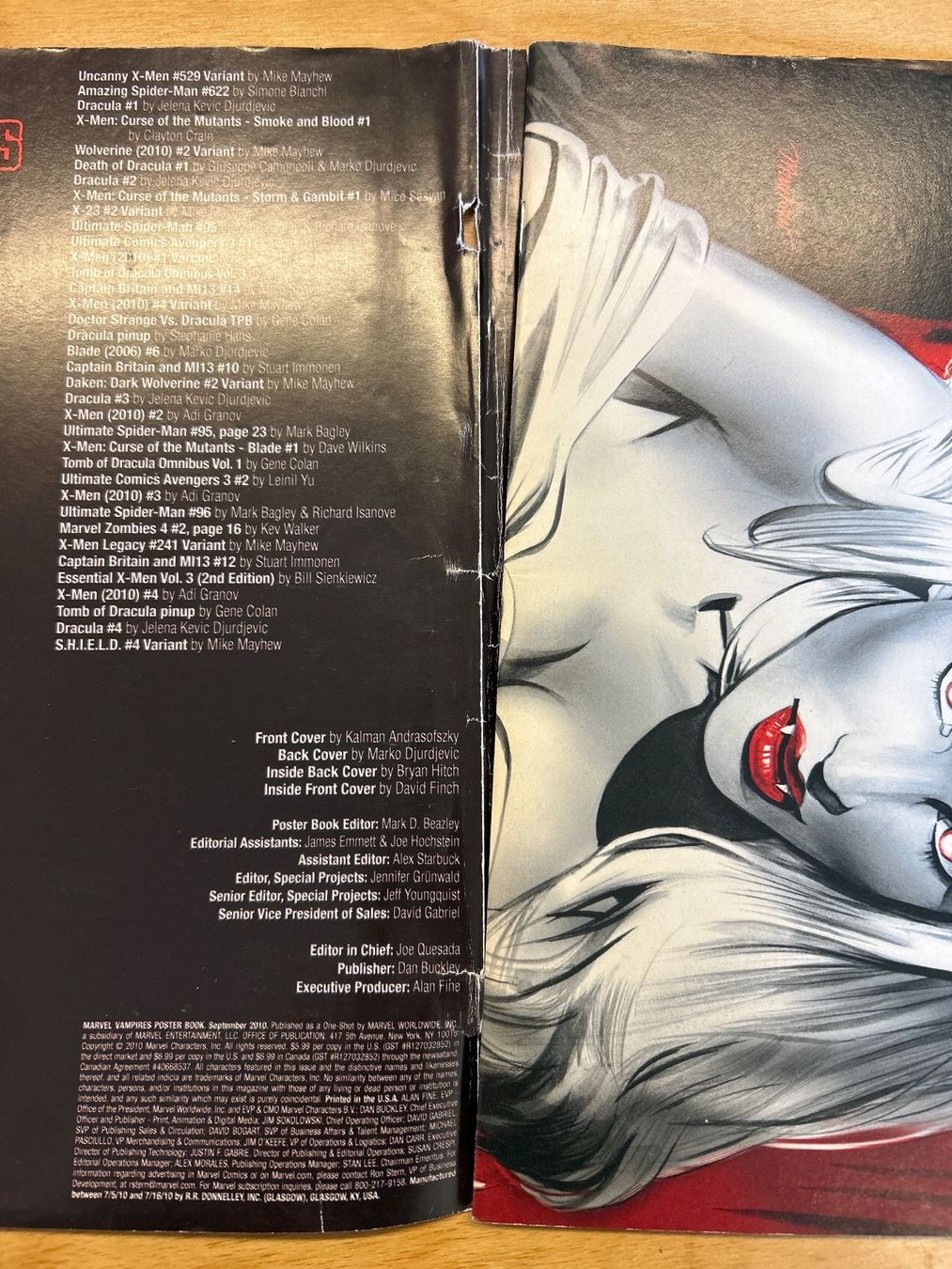 Fumetti: Marvel Vampires Poster Book '2010 – Difettoso da Bern venduto da pacolino22 1
