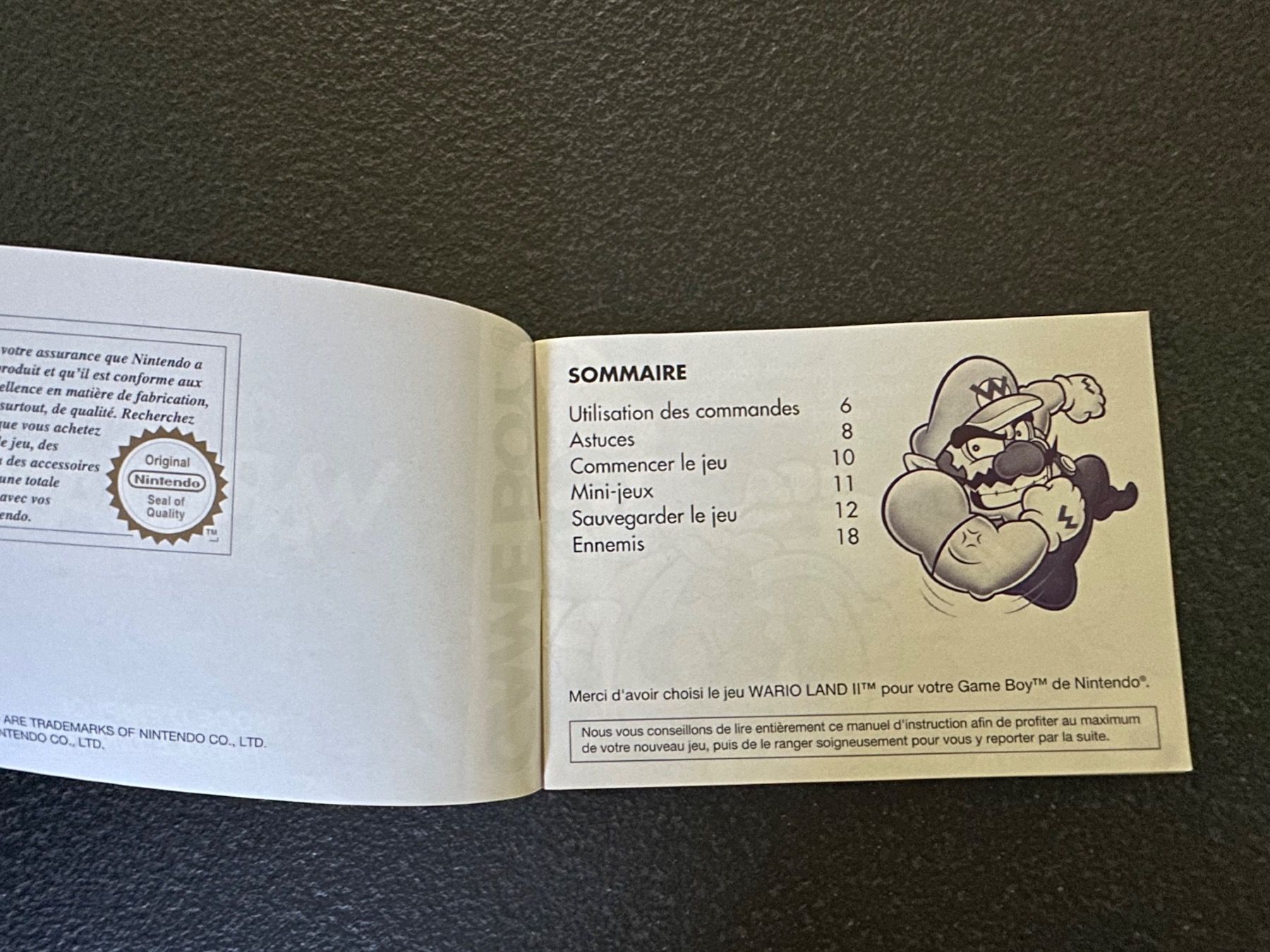 Giochi: Instructions Warioland 2 – Usato da Uvrier venduto da sauma85 2