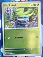 Lotad - Reverse Holo - Pokemon Phantasmal Flames #2.2