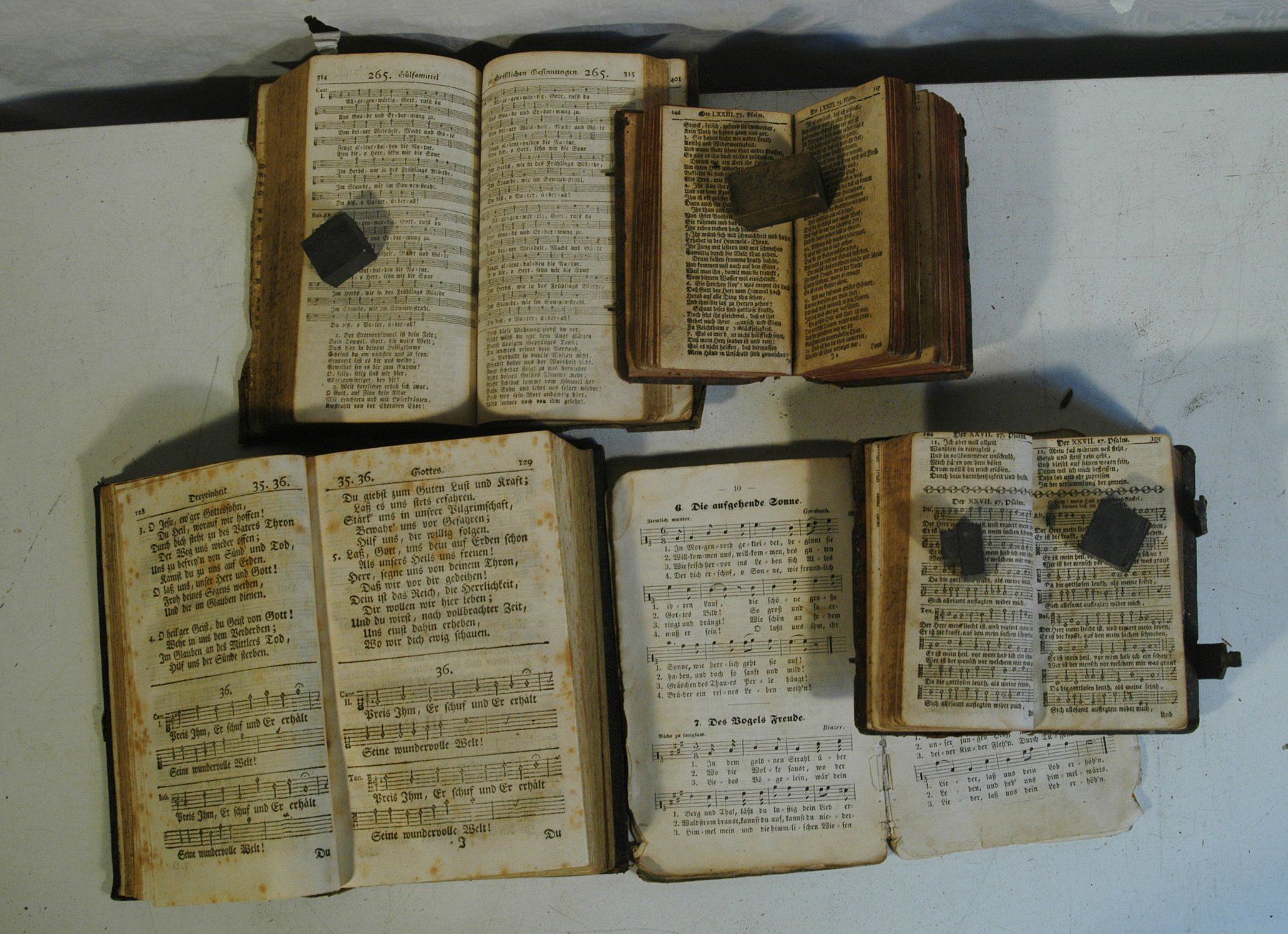 Libri: Antike Gesangsbücher ab 1797 5 Stück – Usato da Herisau venduto da Wisen 6