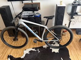 2019 Epic Hardtail Comp Grösse L