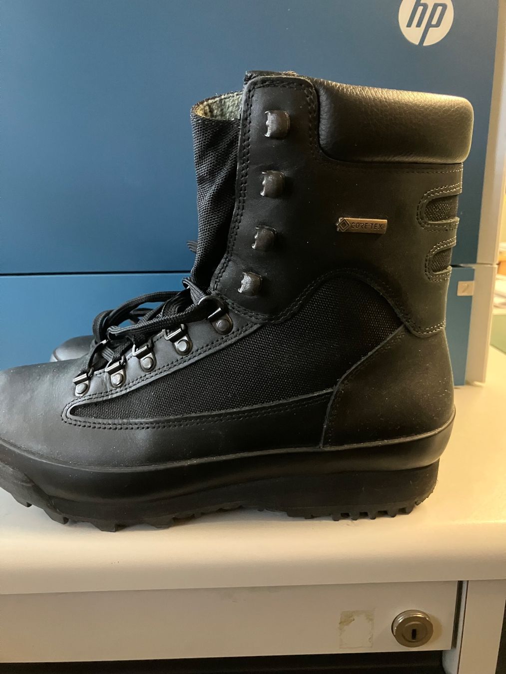 Schweizer Armee Uniformen: Stiefel Leicht Goretex – Neu (gemäss Beschreibung) aus Dübendorf von salvelinusalpinus 1