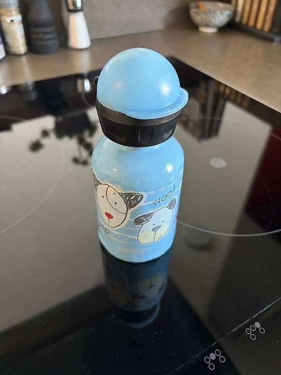 Borracce & Thermos: Gourde pour enfant Sigg – Usato da Crissier venduto da Joelmessa2
