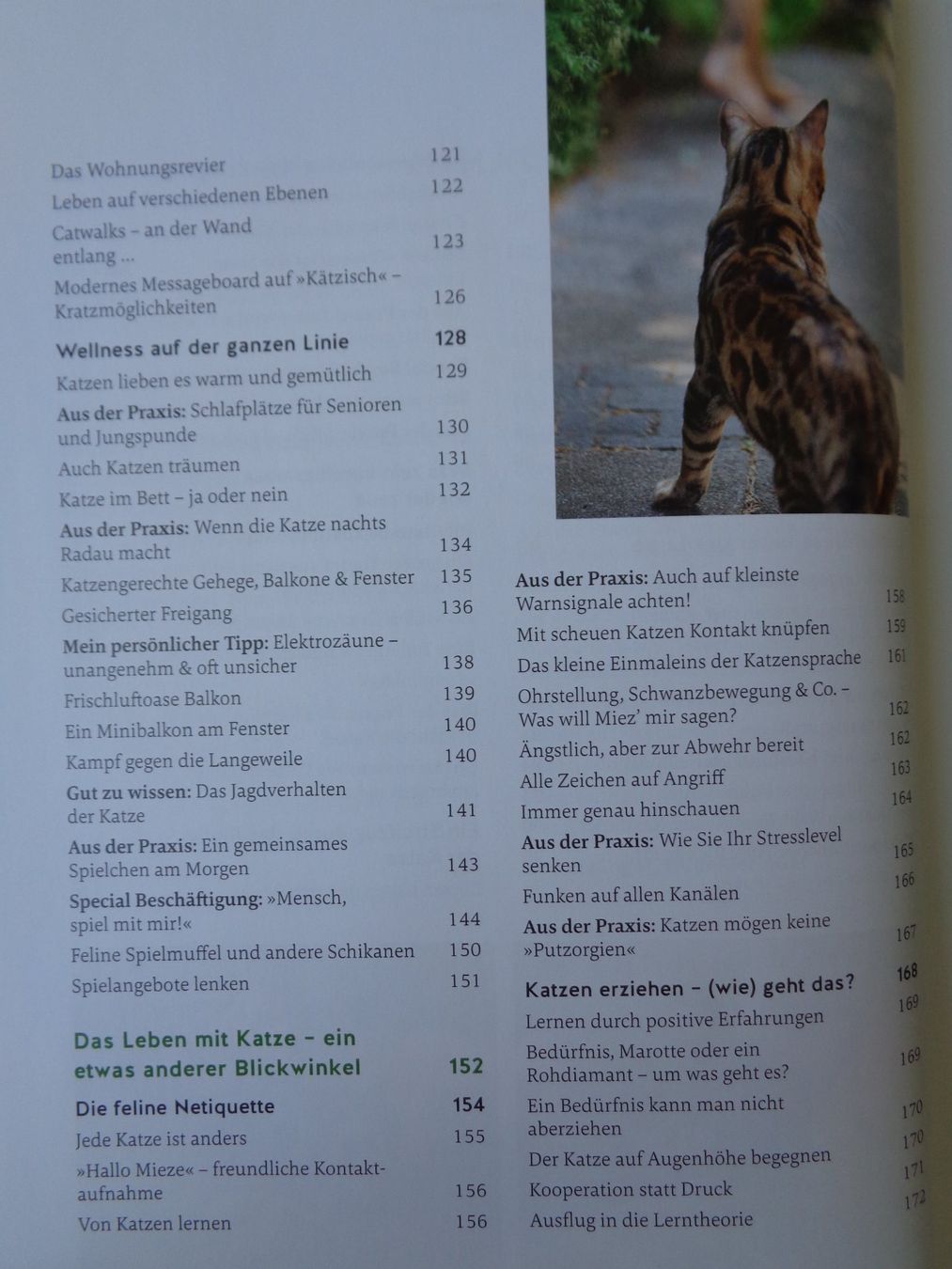 Libri: Wie wir Katzen glücklich machen - Carmen Schell – Usato da Chur venduto da Oregano1 4