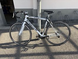 Road bike Totem Race white used condition