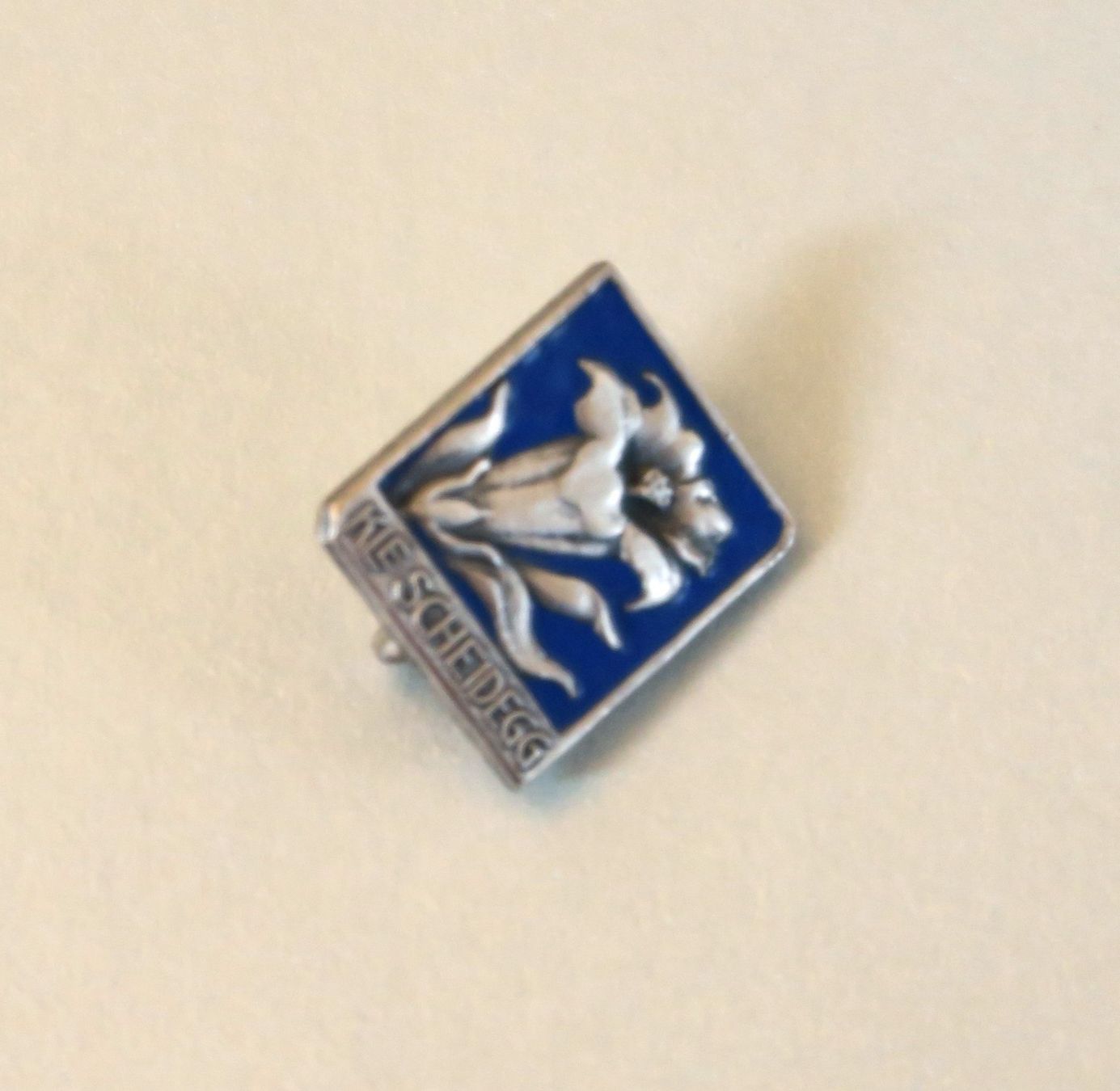Placchette & Badge: Pin/Brosche Enzian, kleine Scheidegg – Usato da Brittnau venduto da marlenestone 4