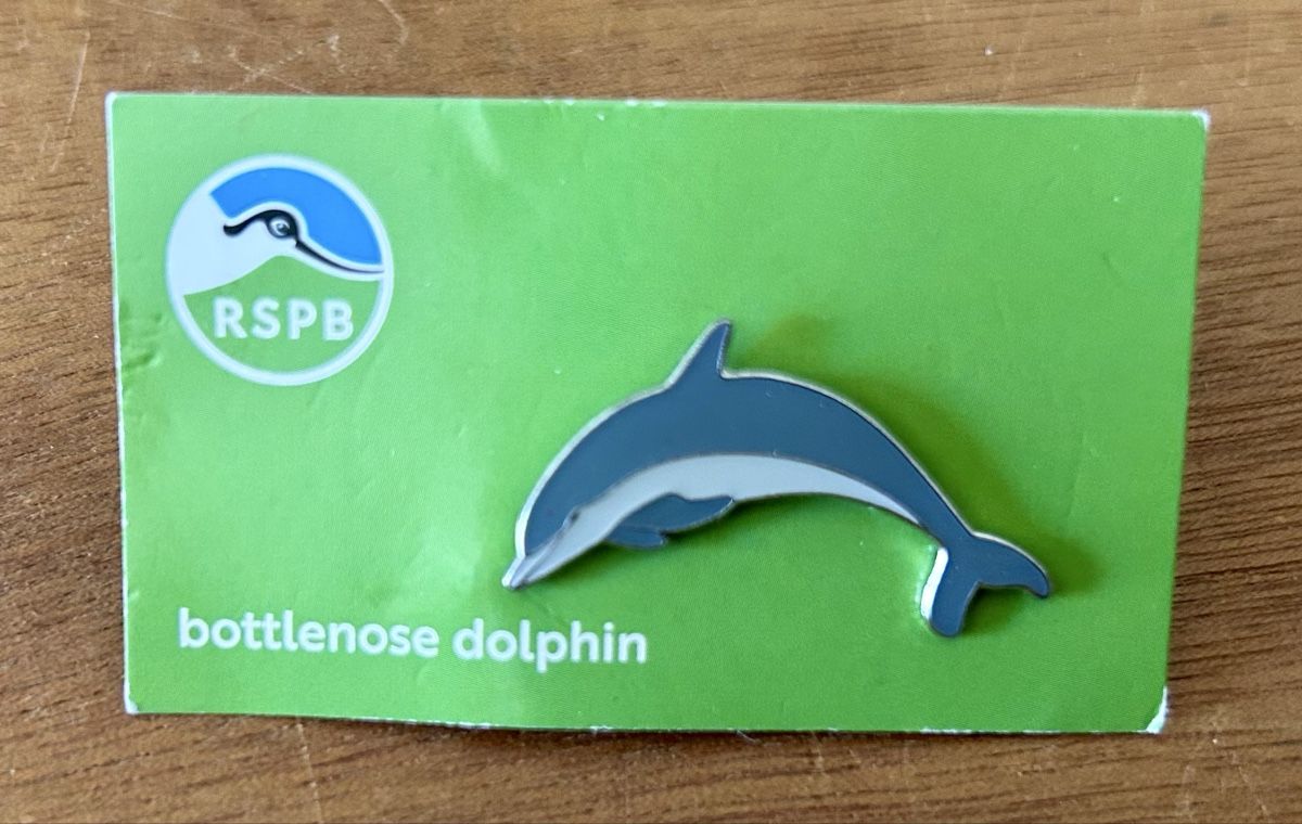 Placchette & Badge: RSPB Pin Delphin – Nuovo (secondo la descrizione) da Zürich venduto da ann_9fv5