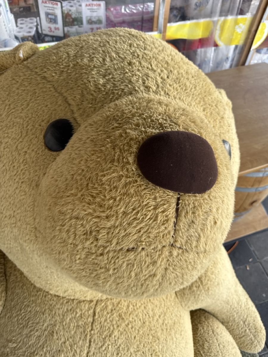 Giocattoli: Grosser Teddybär defekt gebraucht beige – Difettoso da Küttigen venduto da B-Man 1