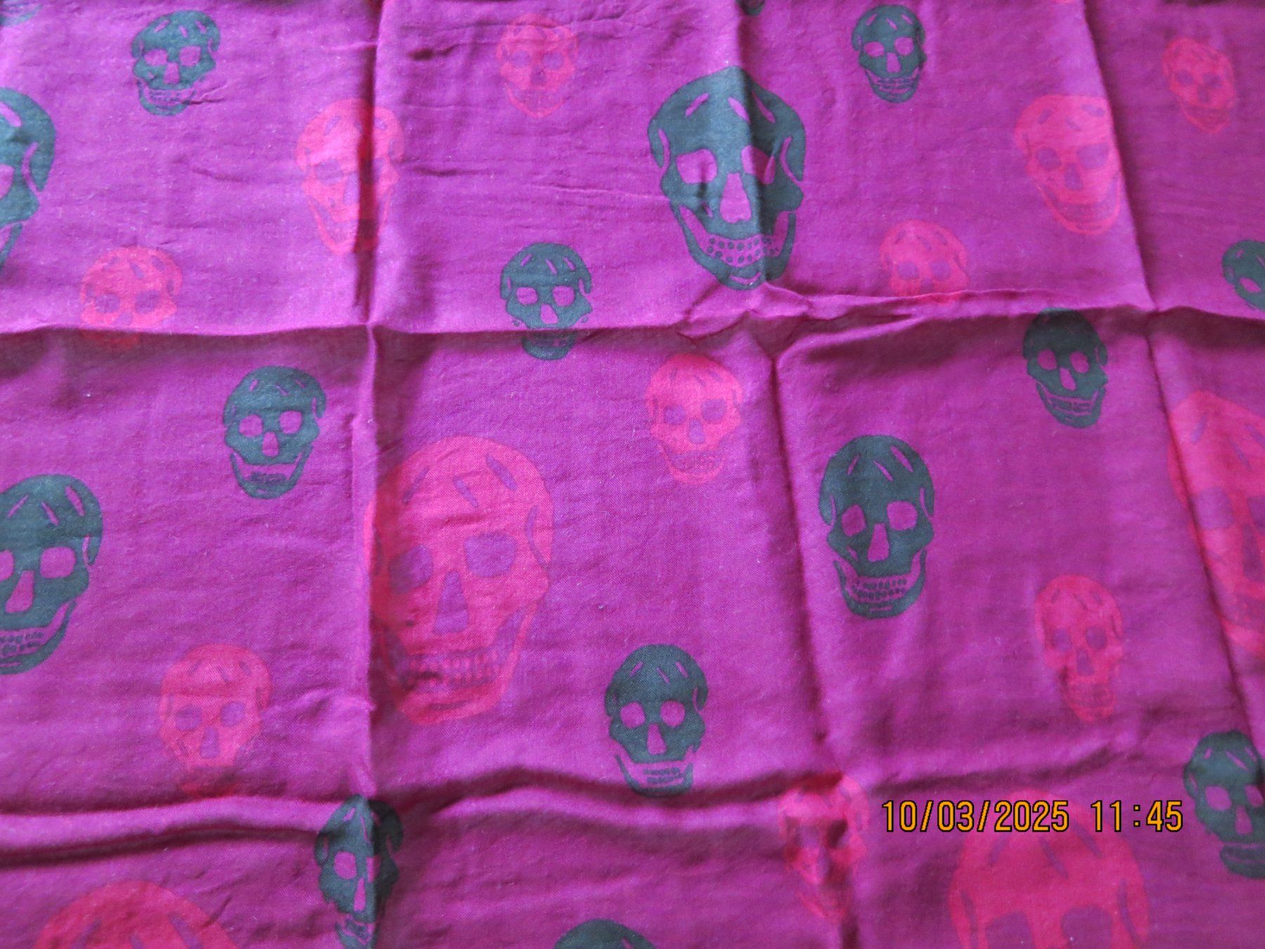 Alexander Mcqueen Foulard & Sciarpe: Alexander McQueen Schal – Usato da Olten venduto da Lilafarben 2