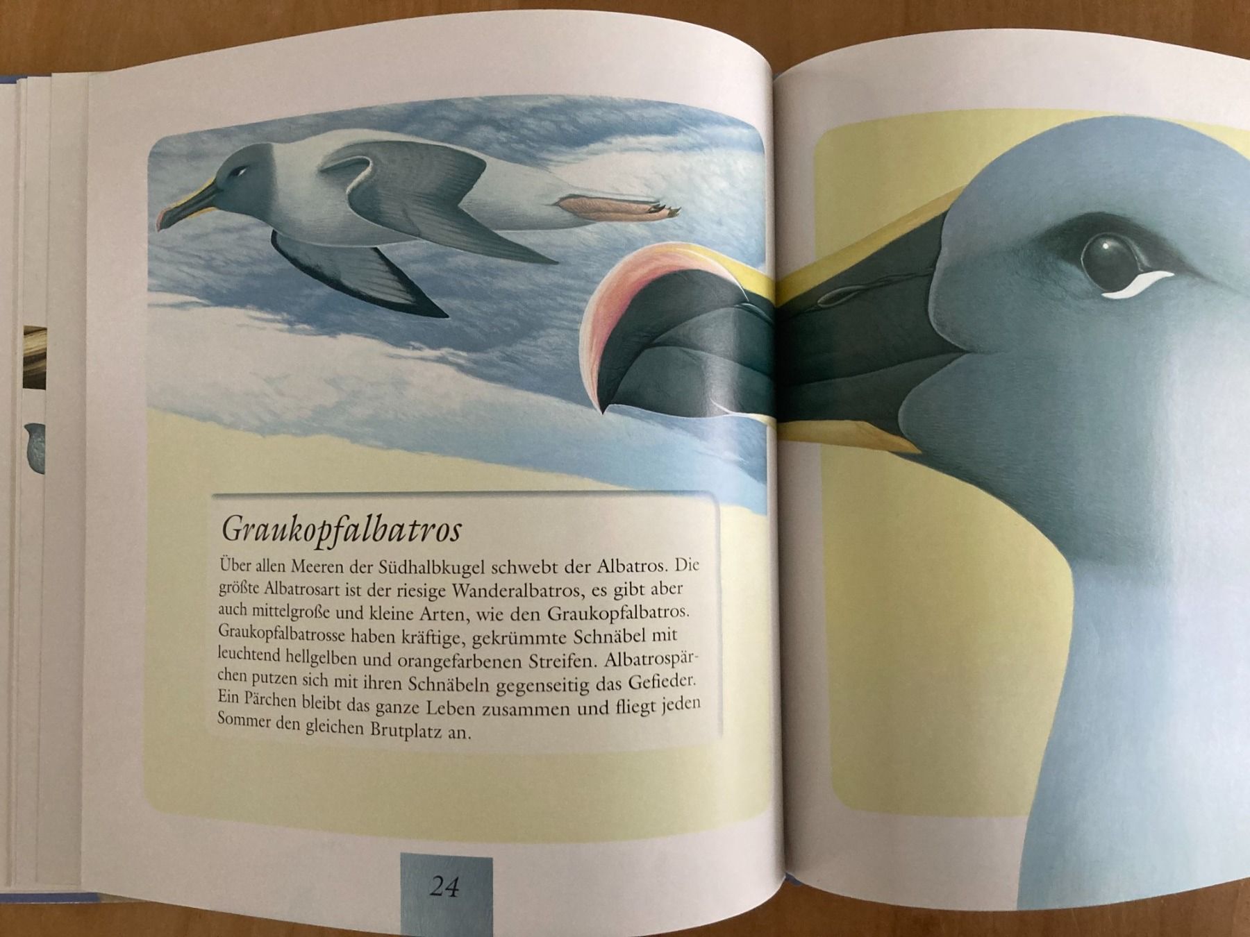 Libri: TIERE  IN  EIS  UND  SCHNEE      PATMOS Verlag – Usato da Subingen venduto da Etageren 5
