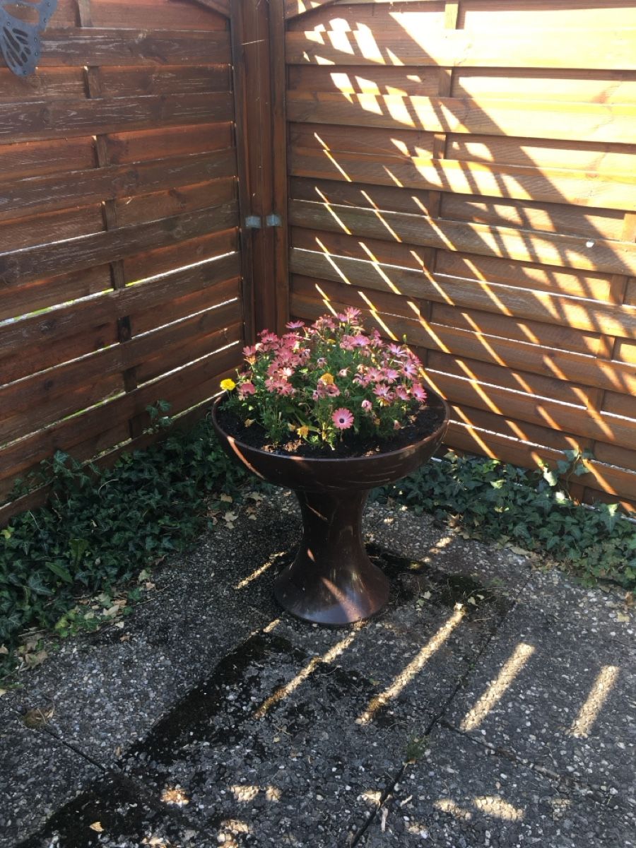 Stagni & Fontane ornamentali: Zierbrunnen – Usato da Belp venduto da Hornusser54 1