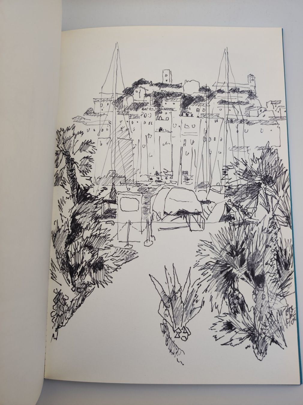 Bücher: JULES CAVAILLES - CARNET DE CANNES – Gebraucht aus Goldach von Gaip