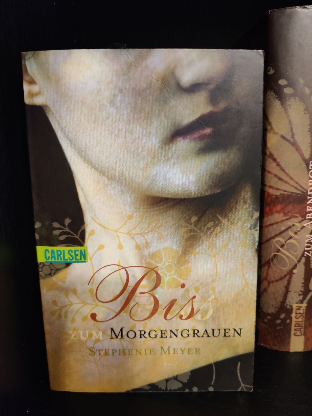 Libri: Stephenie Meyer Biss-Romane inkl. 4 Notitzbücher – Usato da Domat/Ems venduto da Shiekah2102 3