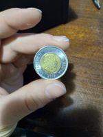 Pièce de 2 dollars canadiens 2019: Ours polaire! Rare