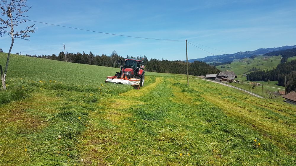Mähwerk Kuhn GMD 3120 Kaufen auf Ricardo