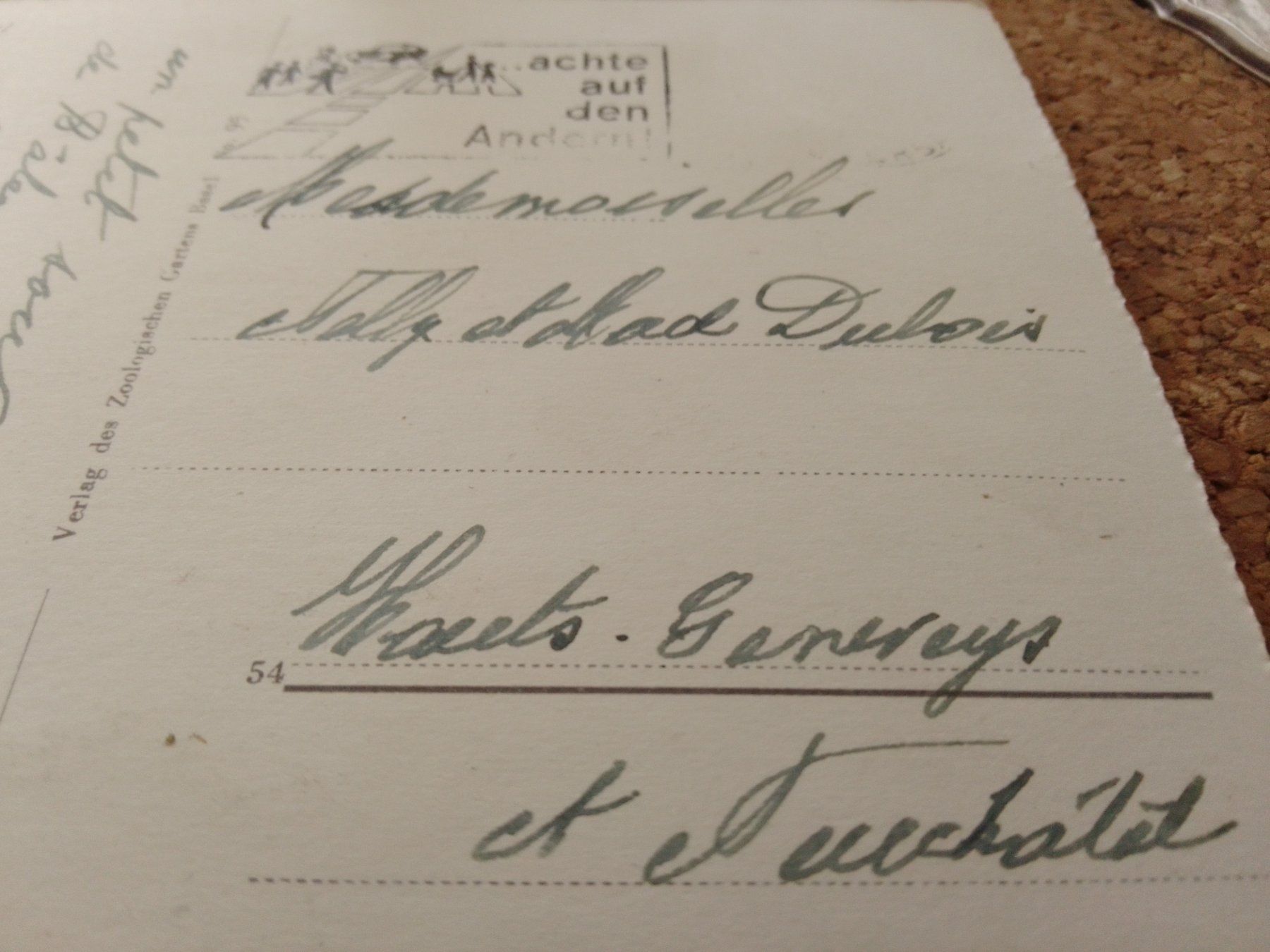 Cartes postales: Basel Zoo Ernst Lang – D'occasion à Adligenswil par madhater 2