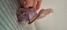 Amethyst-Edelstein mit Papagei