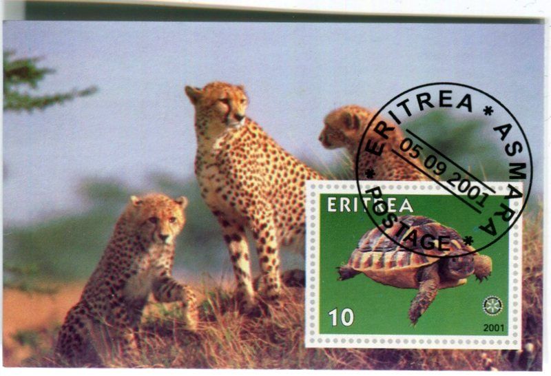 Tous les timbres: Block "Gepard". Eritrea – Neuf avec emballage d'origine à Basel par Butsch5