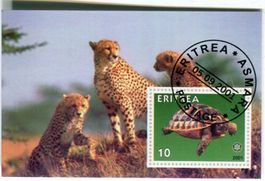 Block "Gepard". Eritrea