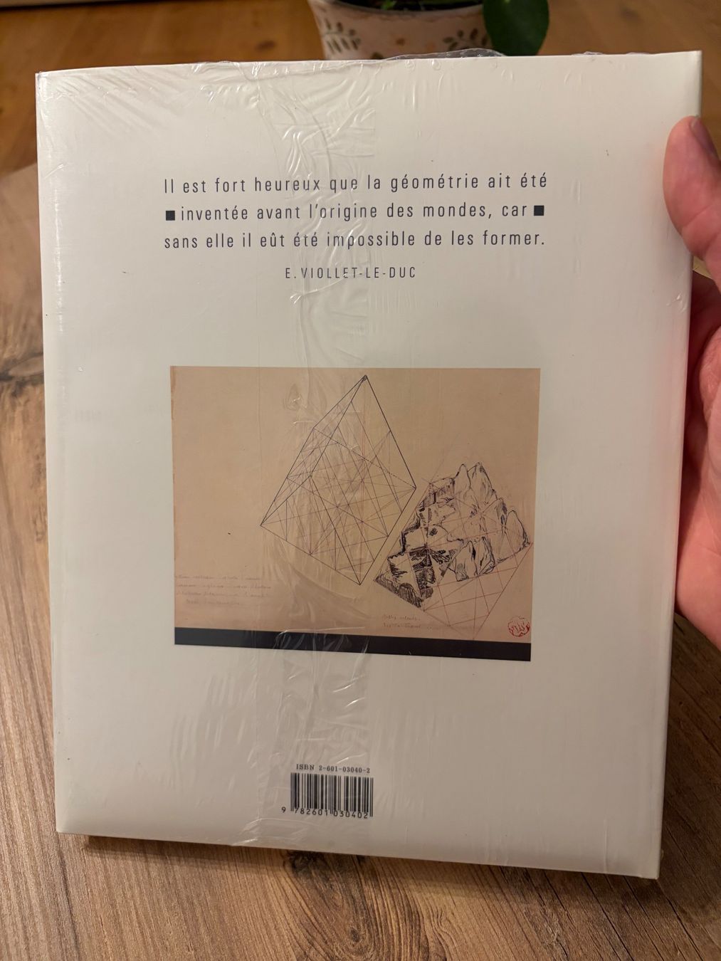 Libri: Viollet-le-Duc et le massif du mont blanc – Nuovo e nell'imballaggio originale da Froideville venduto da vin_ynl9 2