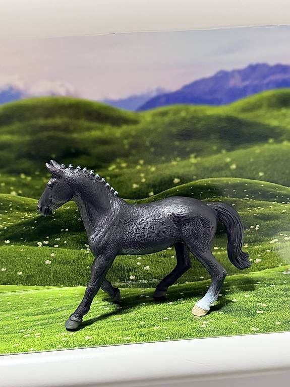 Schleich Statuette: Schleich Hannoveraner Hengst – Usato da Gümligen venduto da Sally777 2