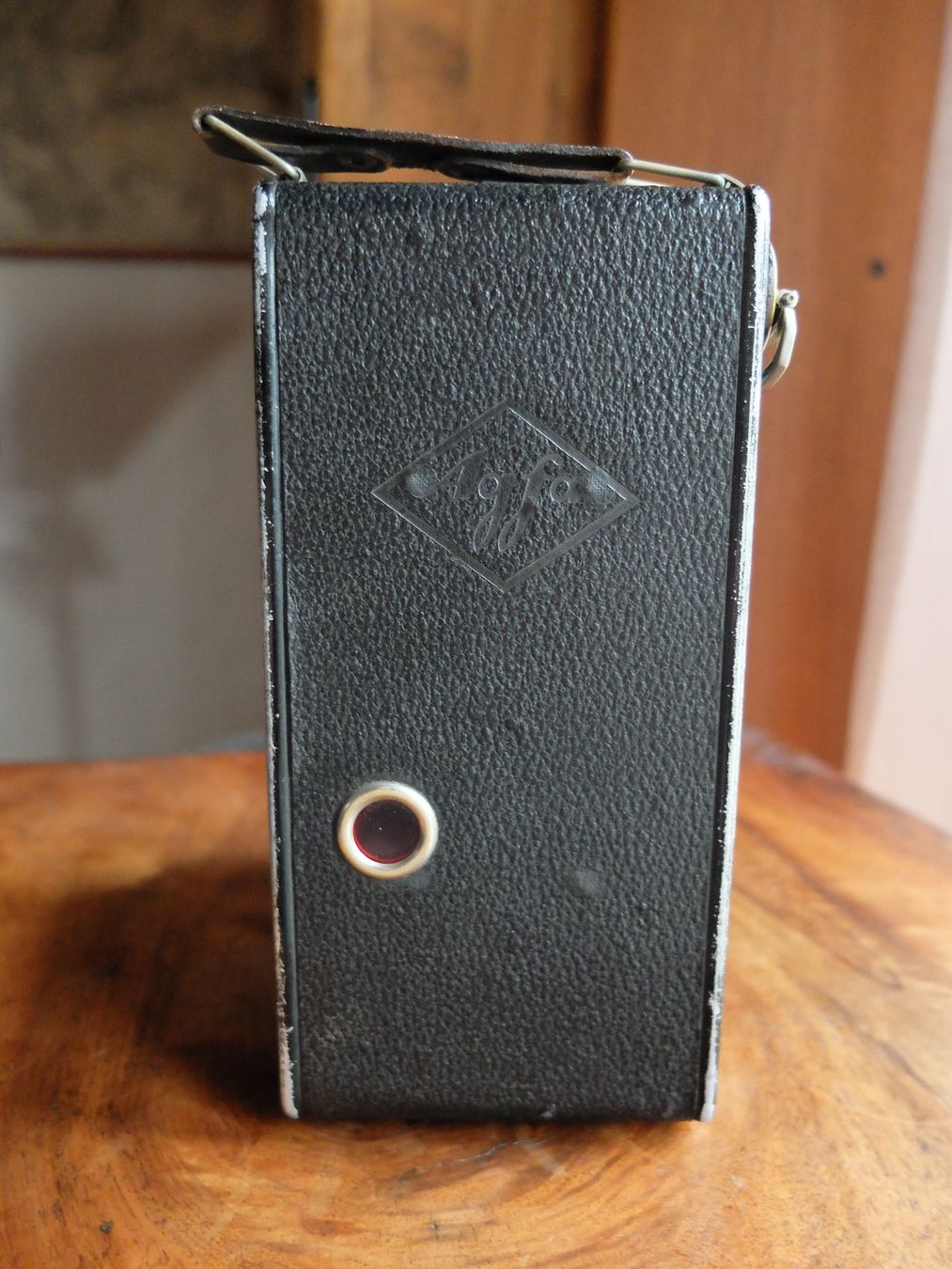 Agfa Kamera: AGFA BILLY I  mit Igestar f 8,8 , eckige Form – Gebraucht aus Greppen von Fuerstigor 6